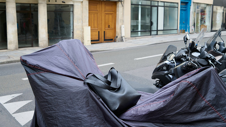 days in Paris